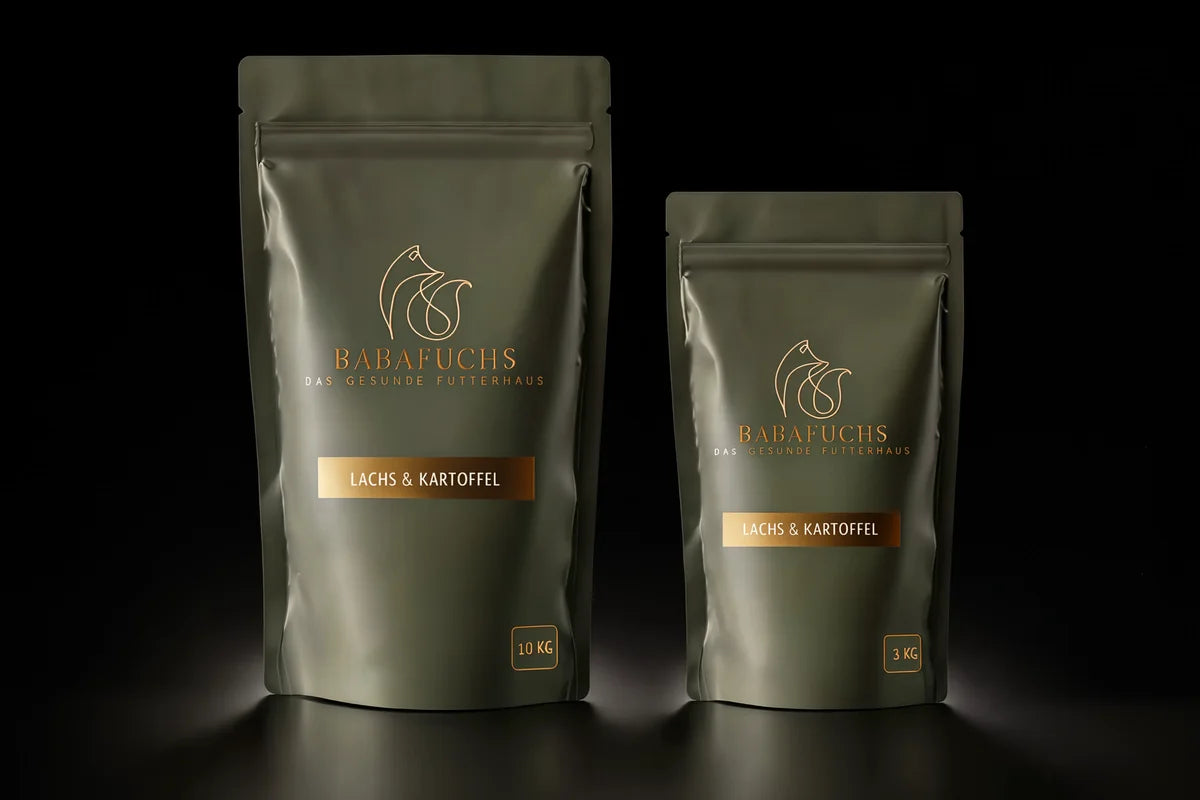 BabaFuchs Lachs & Kartoffel Bio-Trockenfutter für Hunde