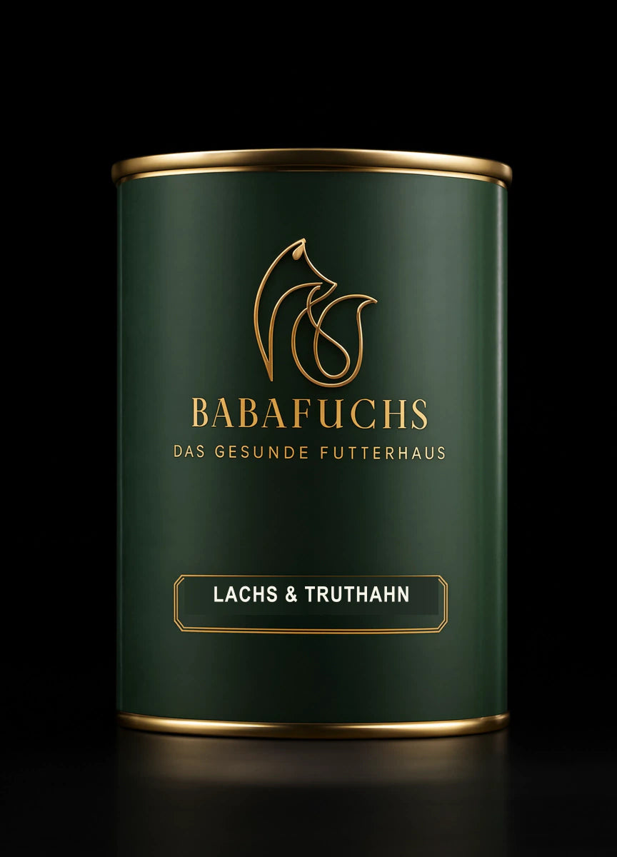 BabaFuchs Lachs & Truthahn mit Reis & Kräutern Bio-Nassfutter für Hunde